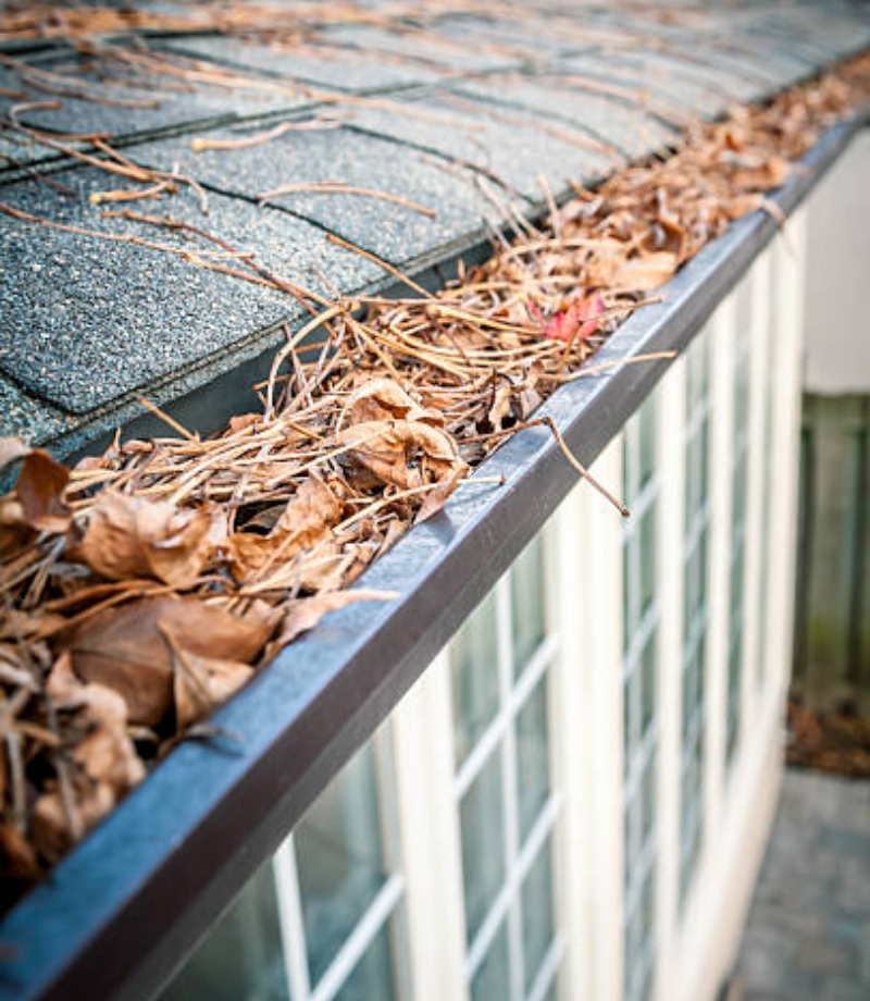 capital-clean-gutter-cleaning